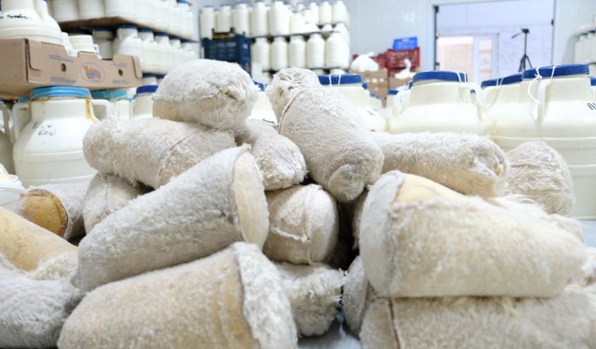 Kahvaltı Sofralarına 3 Bin Rakımdan Gelen Lezzet: Tulum Peyniri
