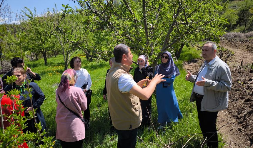 Erzincan’da Zirai Dondan Zarar Gören Çiftçilere Ödeme Yapılacak