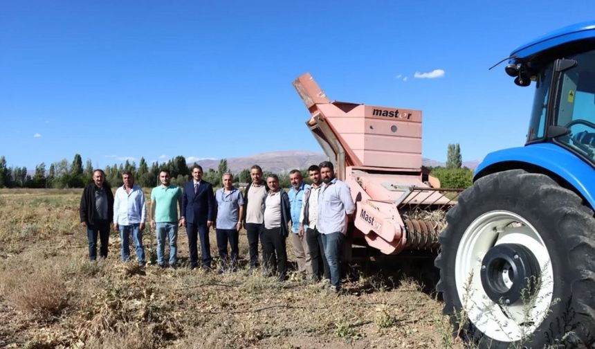 Erzincan’da Kuru Fasulye Hasadı Başladı