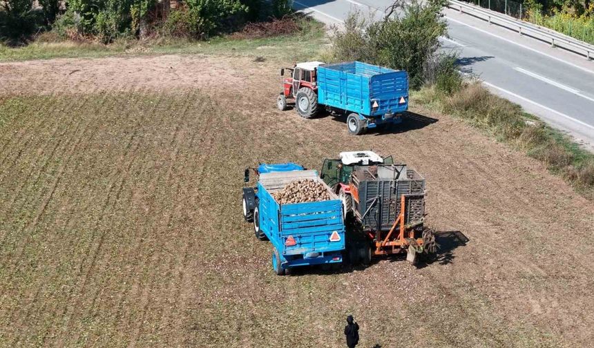 Erzincan’ın Bereketli Topraklarında Pancar Hasadı Başladı