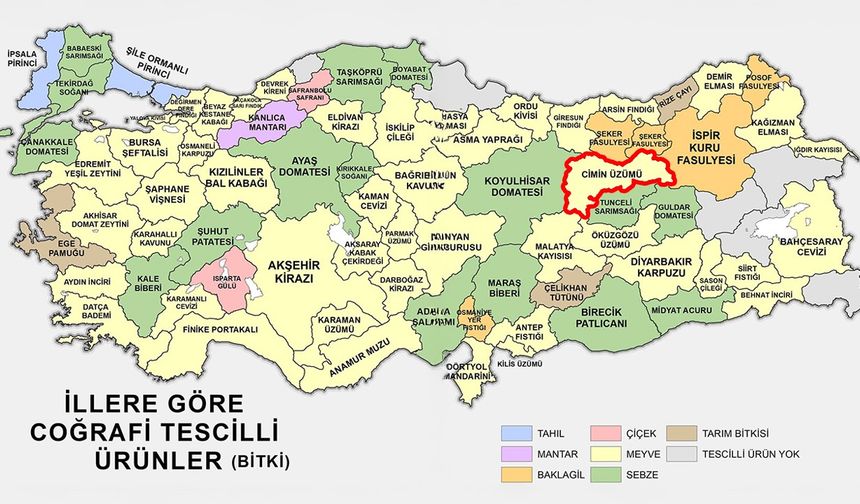 Türk Patent’ten Coğrafi İşaretli Bitkiler Listesi: Erzincan’dan Cimin Üzümü