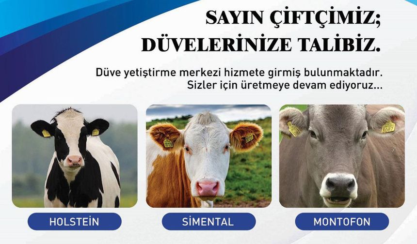 Erzincan’da Düve Yetiştirme Merkezi Hizmete Girdi