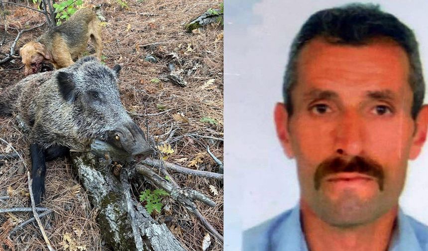 Kemah’ta Domuz Saldırısı; 1 Kişi Hayatını Kaybetti