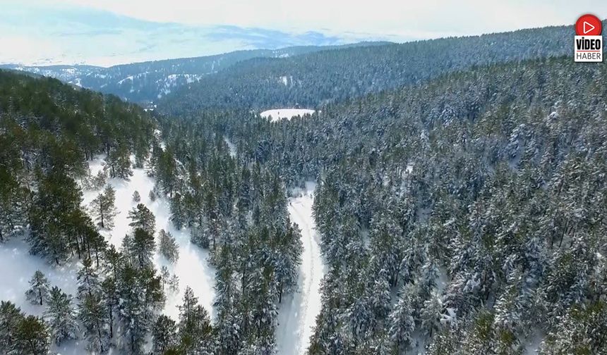 Erzincan’ın Doğa Harikası Dumanlı Beyaza Büründü