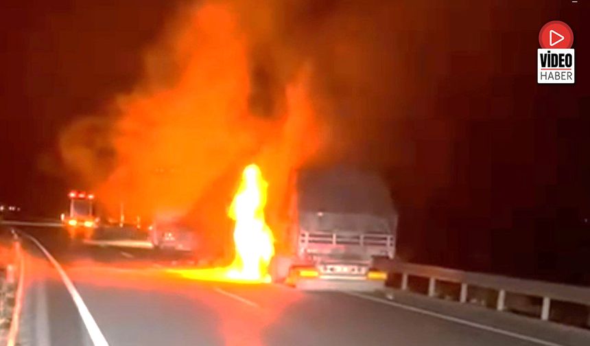 Erzincan'da Seyir Halindeki Tır Alev Alev Yandı