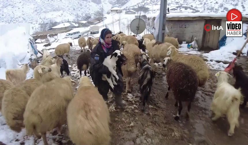 Erzincan Köylerinde Kış Mesaisi