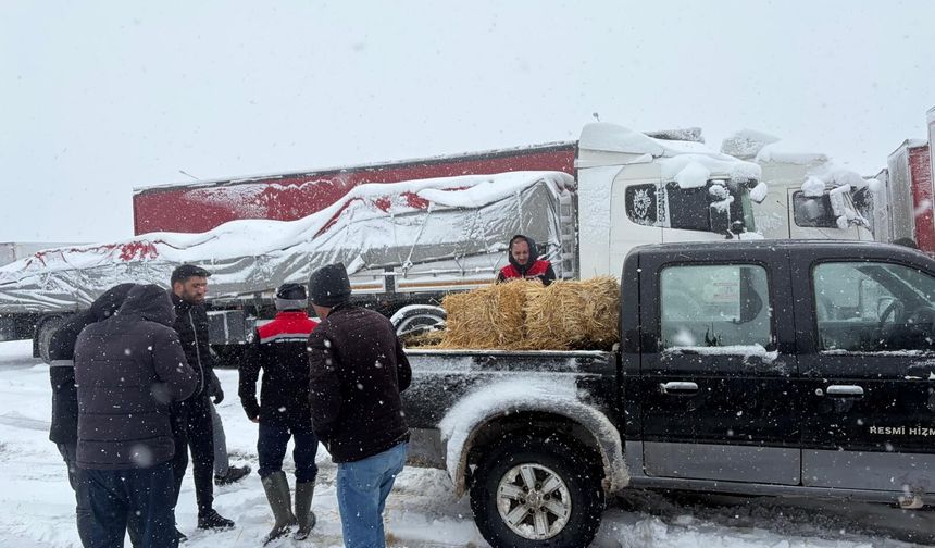 Açlık Riskine Müdahale: Tarım Ekipleri Seferber Oldu