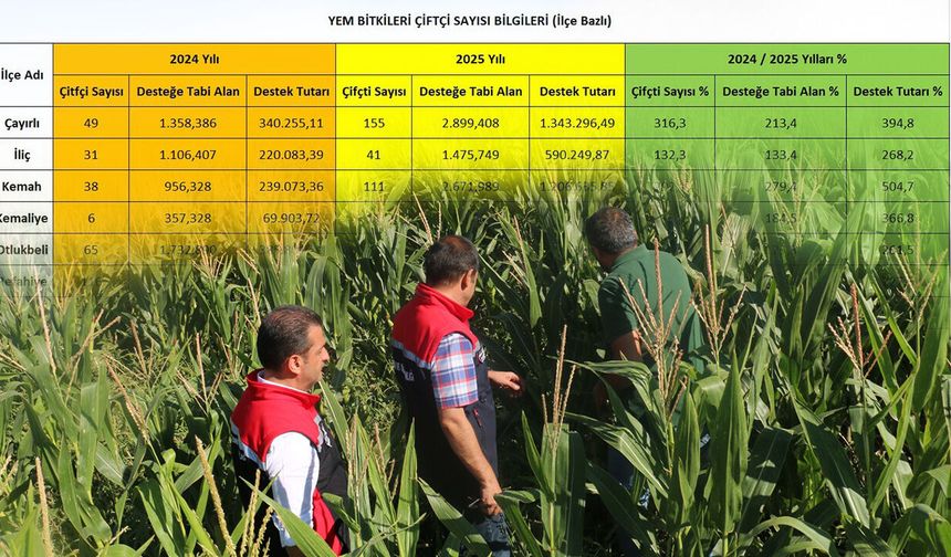 Erzincan’da Yem Bitkilerinde Rekor Artış!