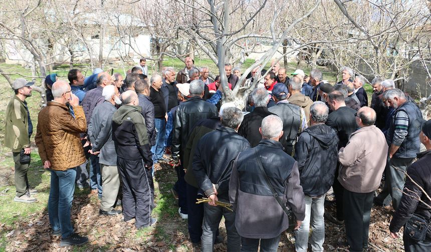 Erzincan'da Meyve Ağaçlarında Budama Eğitimi Düzenlenecek