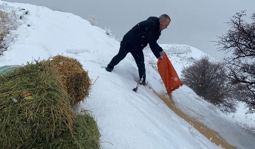 Üzümlü’de Yaban Hayata Anlamlı Destek