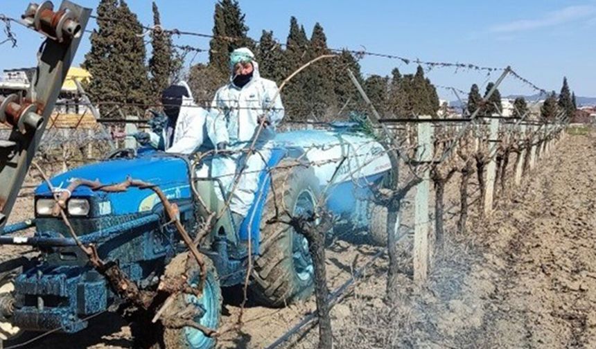 Bordo Bulamacı İçin Doğru Zaman Uyarısı