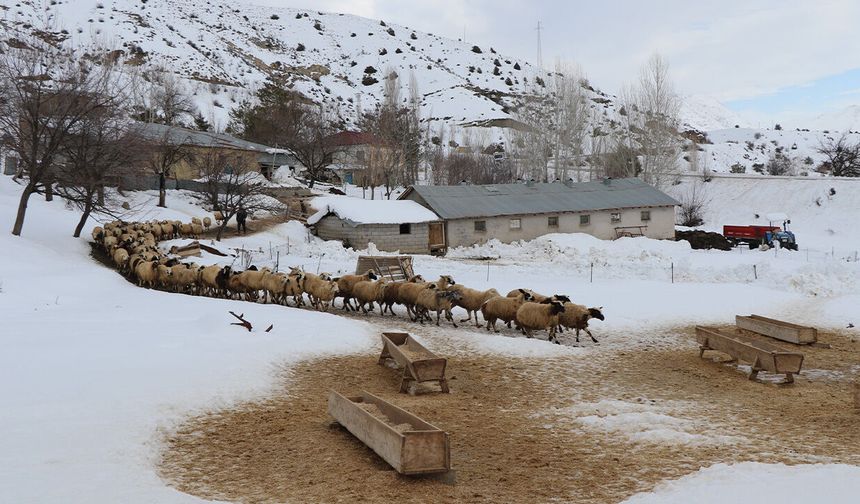 Erzincan'da Çiftçilere Kar ve Tipi Uyarısı