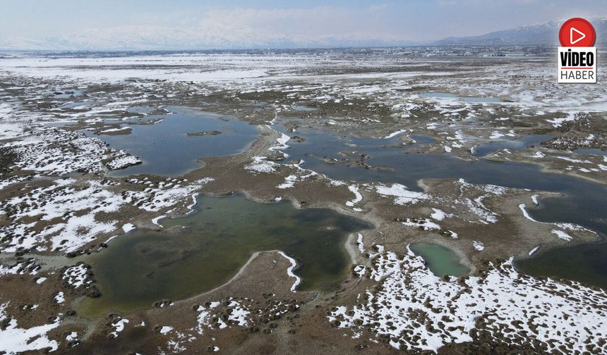 Ekşisu Kuş Cenneti'nde Doğa Drone İle Kaydedildi
