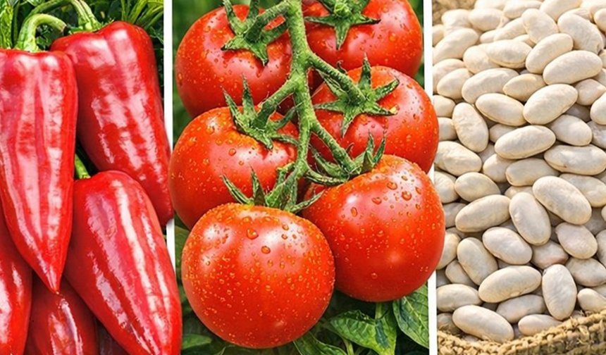 Tarımda Hibe Desteği İçin Başvurular 1 Nisan’a Kadar