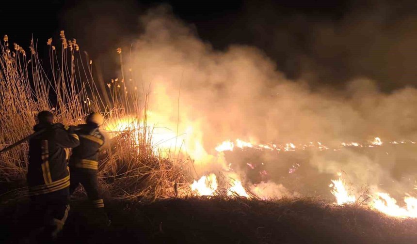 Erzincan'da Anız Yangını Korkuttu