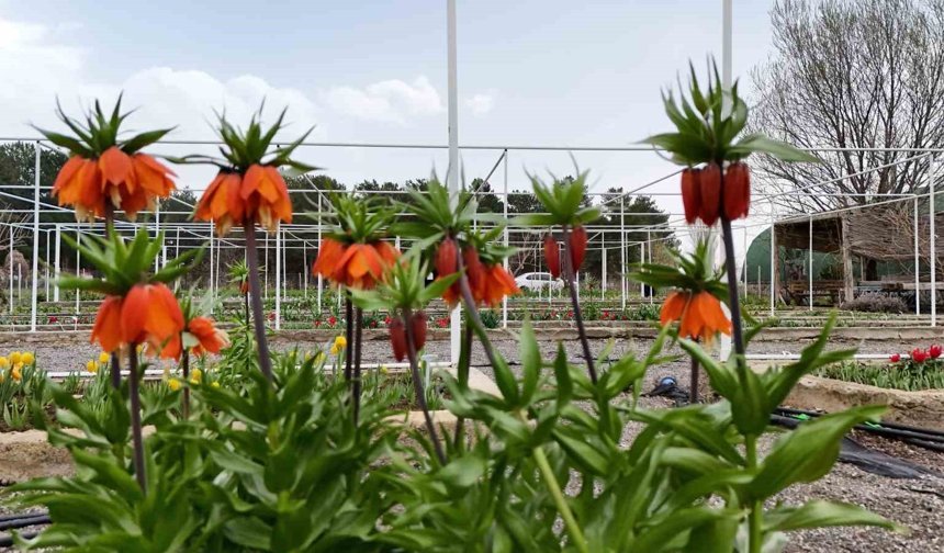 Ters Laleyi Koparmanın Cezası 700 Bin Lira