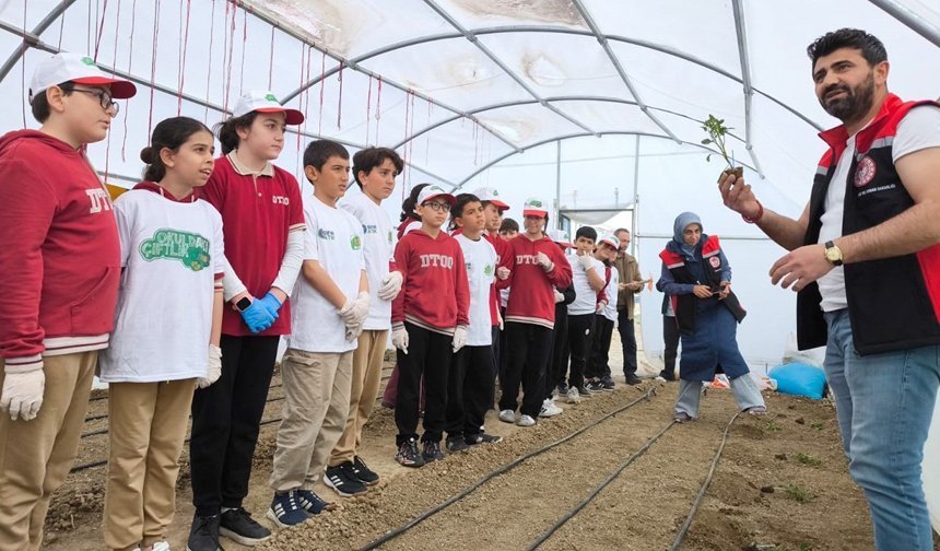 Demirkent TOKİ İlkokulu'nda Öğrenciler Serada Fide Dikti