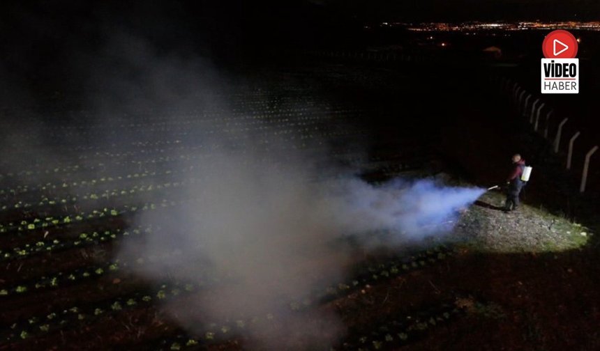 Erzincan'da Çiftçiler Ürünlerini Dumanlama Yöntemi İle Korudu