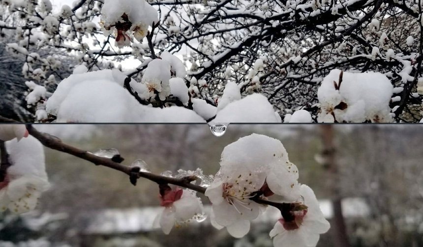 Erzincan'da Nisan’da Sıcaklıklar Eksiye Düştü