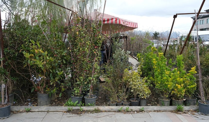 Erzincan'da Sebze Fidesi Sezonu Gecikti