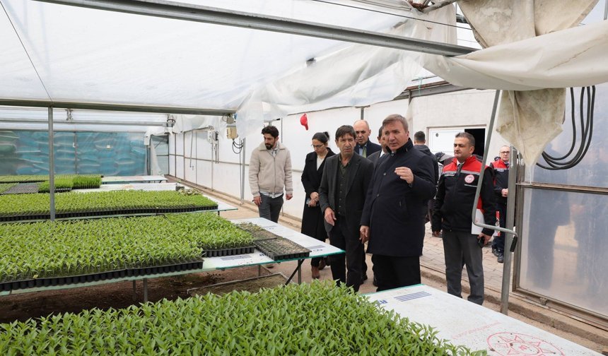 Fide Üretiminde Zirve Erzincan'ın