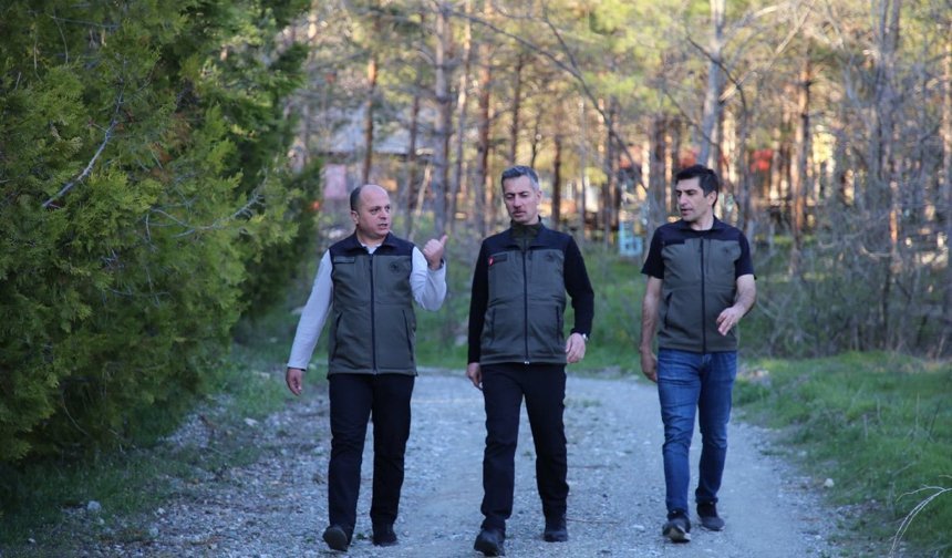 Erzincan'da Orman Projeleri İncelendi