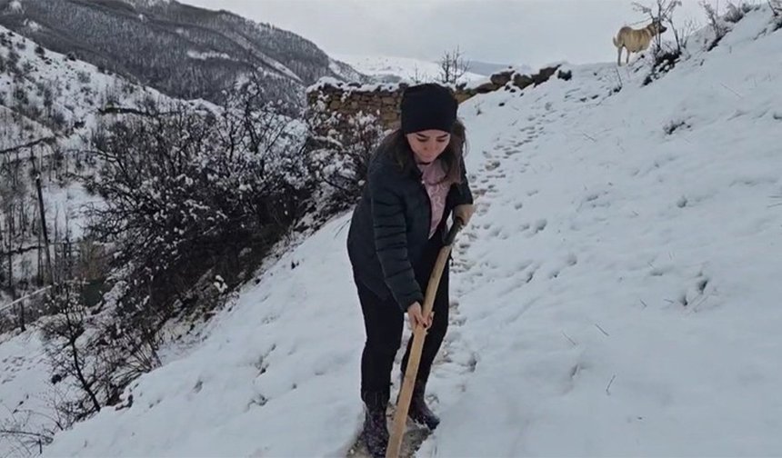 Köy Yolları Kapandı, Hayvanlar Meraya Çıkamadı