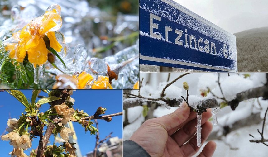 Erzincan'da Zirai Don Uyarısı