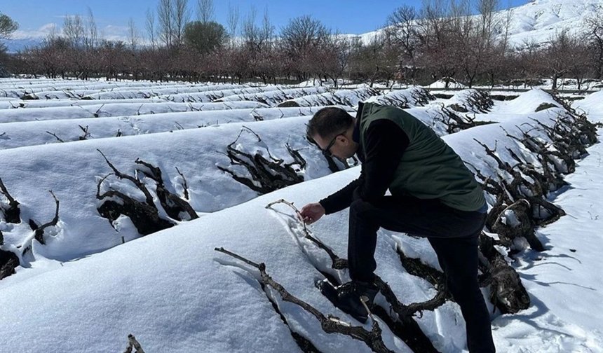 Çiftçilere Kritik Çağrı: Ürünlerinizi Dona Karşı Koruyun