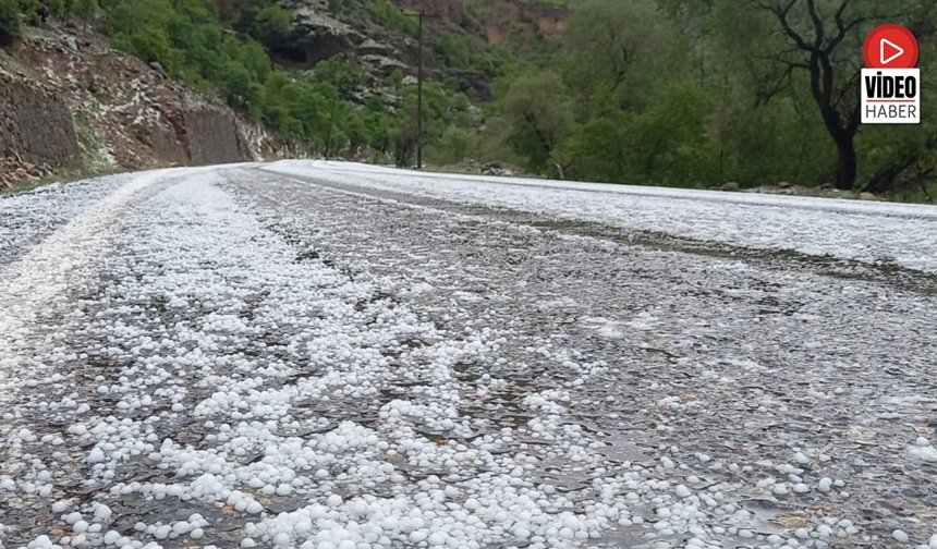 Çayırlı'da Dolu Yağışı Etkili Oldu