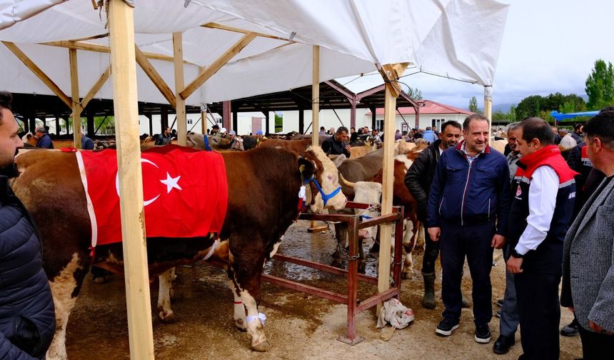 Kurban Pazarı’nda Yoğunluk Zirveye Ulaştı
