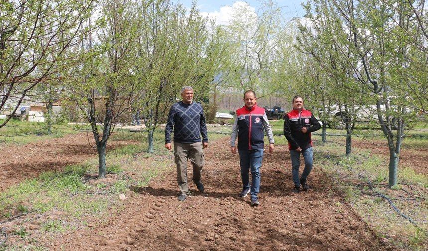 Erzincan'da Yılmaz Toyran'dan Örnek Modern Vişne Bahçesi