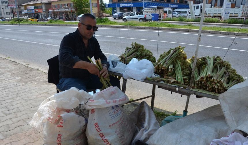 Yaylalardan Toplandı, Tezgâhlarda Satışa Sunuldu