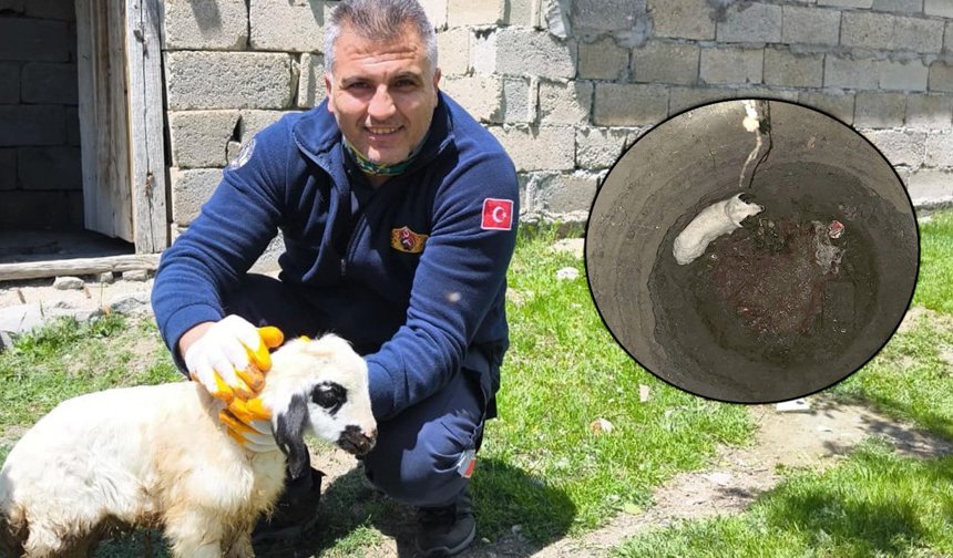 Kuyuya Düşen Kuzu İtfaiye Ekiplerince Kurtarıldı