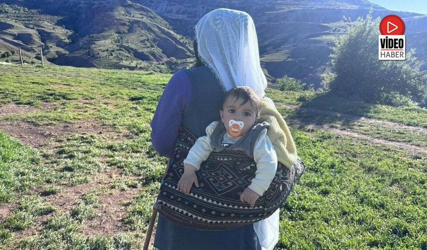 Şavaklıların Yayla Mücadelesi: Tulum Peynirinin Arkasındaki Emek