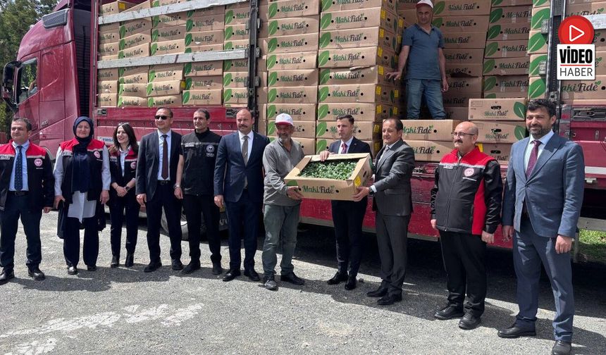 Erzincan'da 220 Üreticiye 779 Bin 520 Sebze Fidesi Dağıtıldı