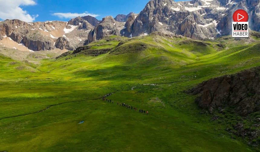 Erzincan'da 2 Bin 500 Rakımdaki Yayla Hayran Bırakıyor