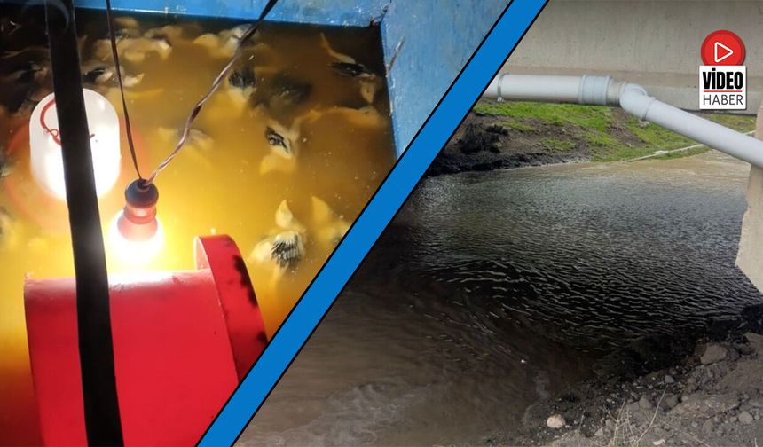Fırat Taştı: Köprü Altları ve Çiftlikler Suya Gömüldü