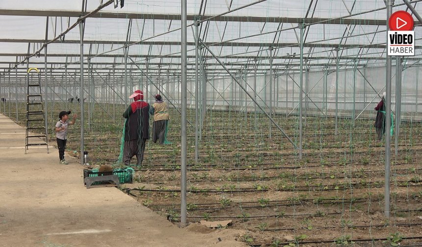Erzincan Tarihinin En Önemli Yatırımlarından Biri Hayata Geçiriliyor