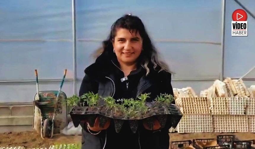 Erzincan Toplu Sera Bölgesi’nde Üretim Başladı