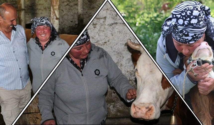 Üzümlü'de Yabancı Gelin Hayvancılığa Renk Kattı