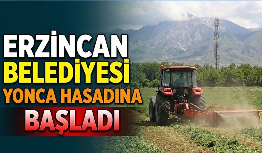 Erzincan Belediyesi Yonca Hasadına Başladı