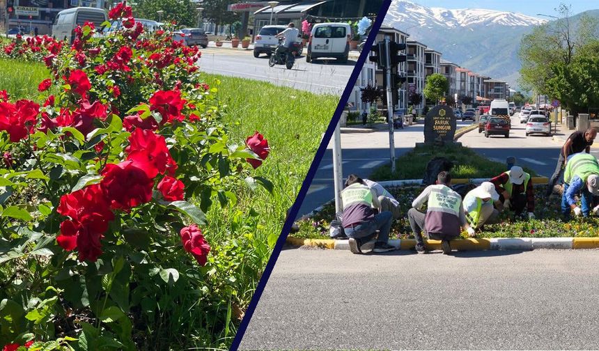 Erzincan'da Şehir Geneline Yeşil Dokunuş