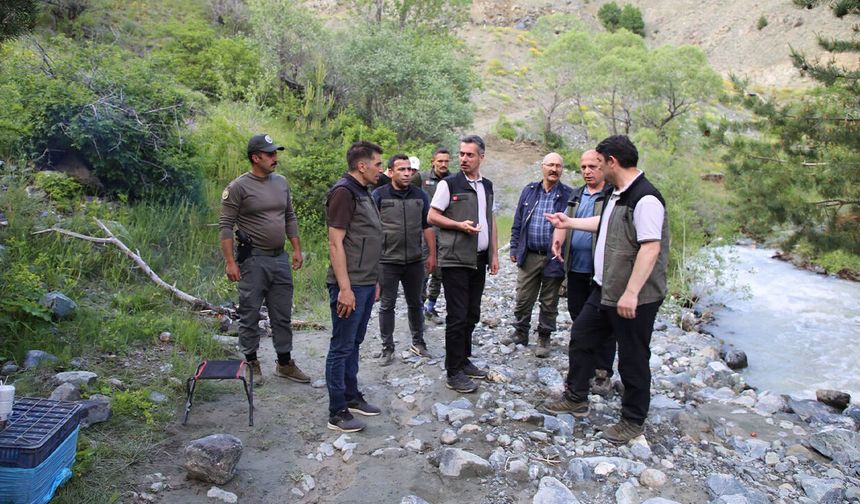 Erzincan Ormanlarında Sürdürülebilirlik Denetimi