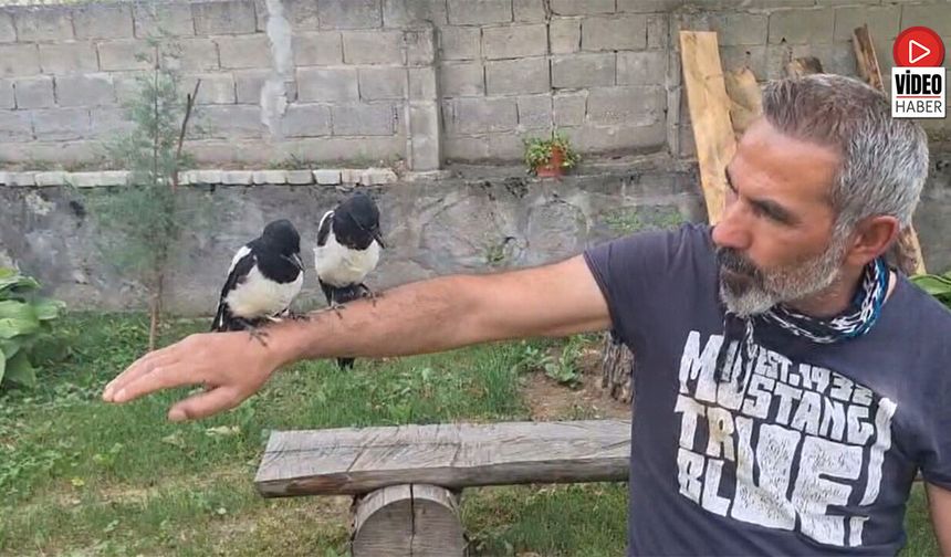 Bahçesini Kuşlar İçin Koruma Alanına Çevirdi