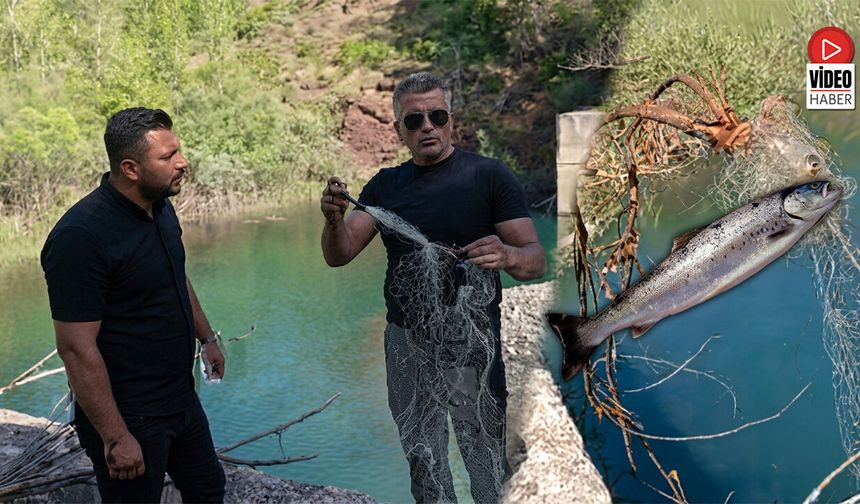 Baraj ve Akarsularda Kontrolsüz Avlanma Aracı: Tırıvırı