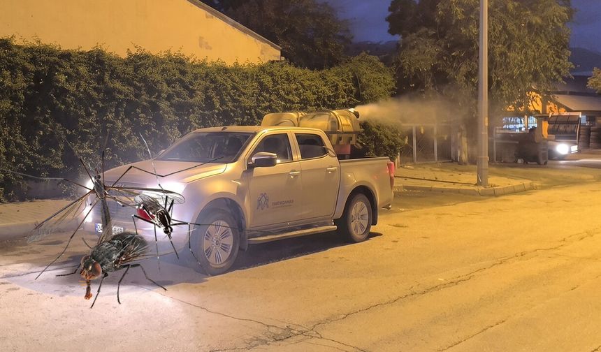Erzincan'da Uçkunla Mücadelede İkinci Etap Başladı