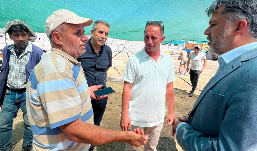 Erzincan’da Hasat Sezonu Bereketi