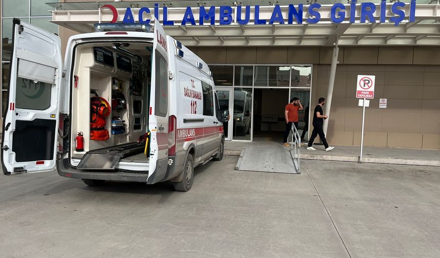 Büyükbaş Hayvan Parmağını Kopardı