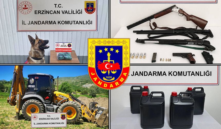Erzincan'da Jandarmadan Haziran Mesaisi